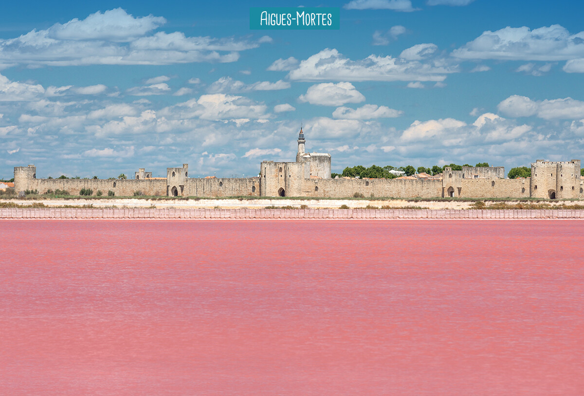 aigues-mortes_elysee-41884929.jpg