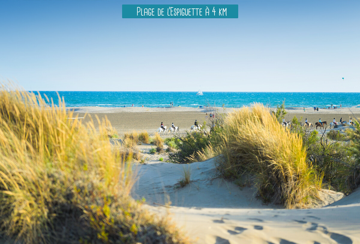 plage_espiguette_elysee-41848679_0.jpg