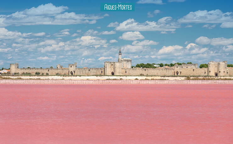 aigues-mortes_elysee-41884929.jpg